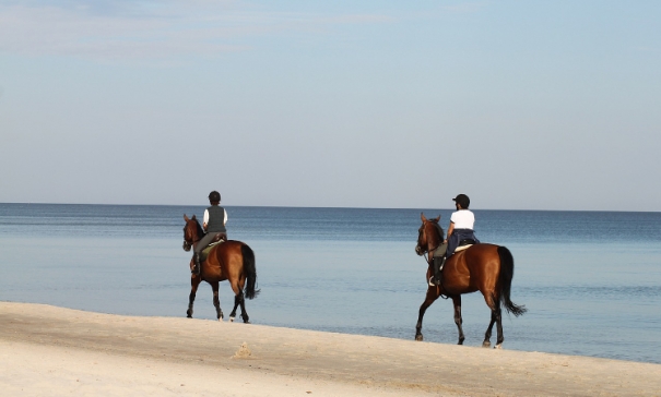 How can you Look Great while Horse Riding?