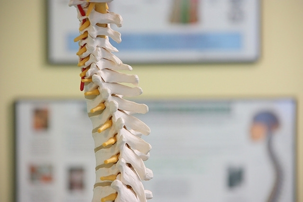 The Spine Analysis &amp; Pain Treatment Specialist Surgeon