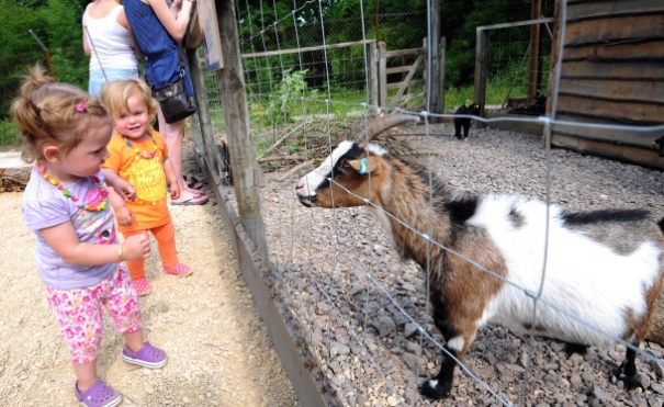 Leap of Faith arrives at the Wild Place Project