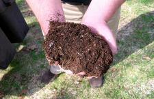Compost pile quick tips