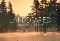 Tatami Records releases Straight Organic's debut album
