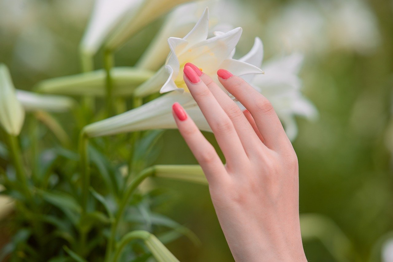 The Ultimate Guide To Staleks Scissors For Nails