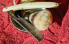 Kupno tradycyjnej brzytwy do golenia - co warto wiedzieć