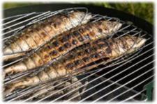 Six Interesting Grilling Tips