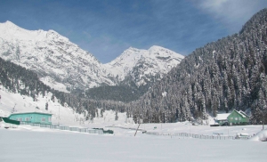 Top 4 Best Destinations in Jammu &amp; Kashmir