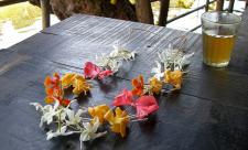 Visit The Calm Morjim Beach And Explore The Other Side of Goa